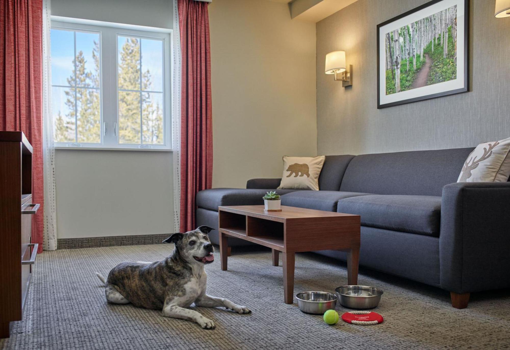 Residence Inn By Marriott Breckenridge Extérieur photo